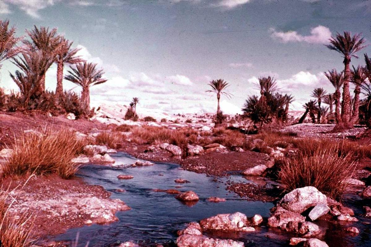 Colomb Bechar 045-collection Monneret.jpg